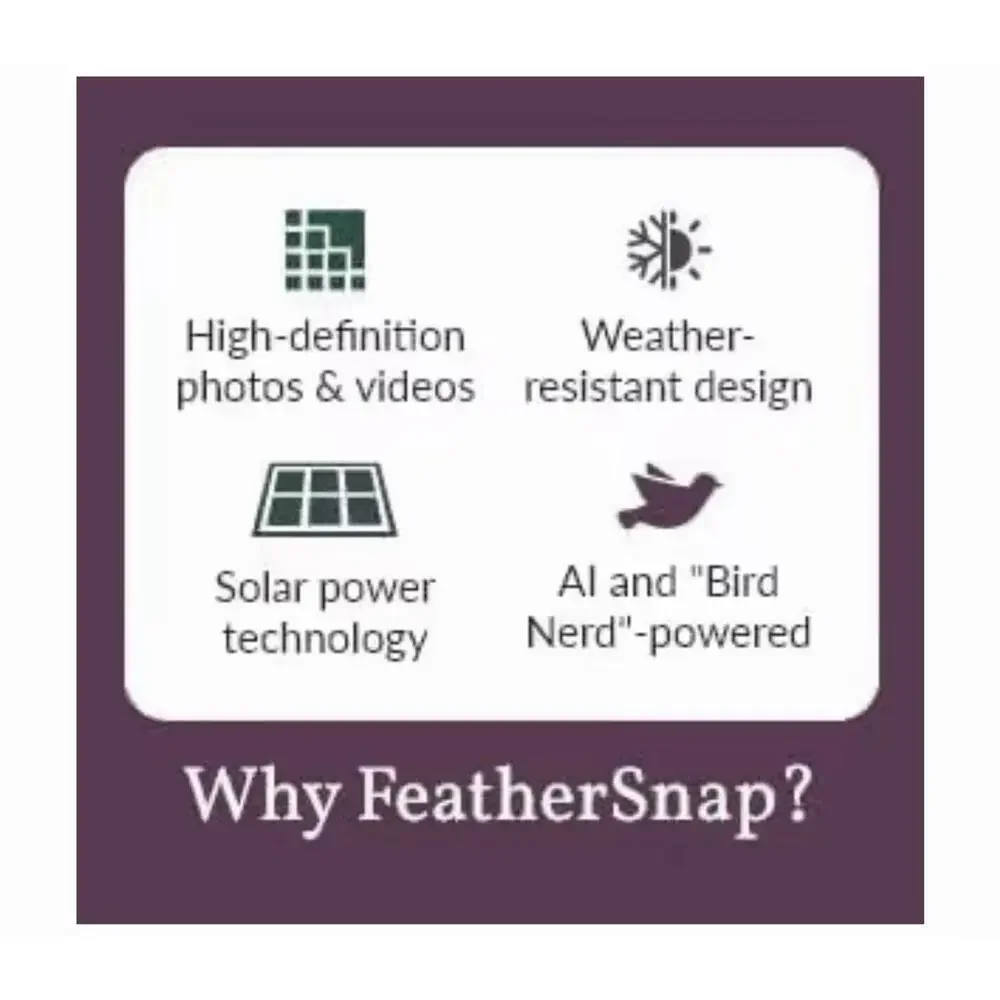 FeatherSnap Smart Bird Feeder with AI Bird Identification and HD Camera w Stand